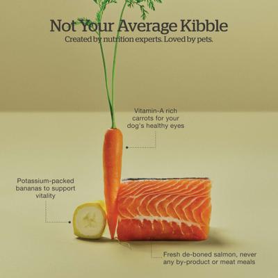 Show full view: Now Fresh Good Gravy Small Breed Ancient Grains Adult Salmon Recipe Dry Dog Food, 12-lb bag slide 7 of 11