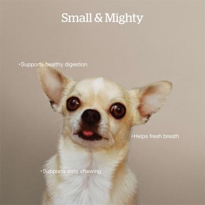 Show full view: Now Fresh Good Gravy Small Breed Ancient Grains Adult Salmon Recipe Dry Dog Food, 3.5-lb bag slide 5 of 11