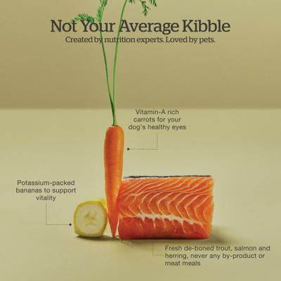 Show full view: Now Fresh Grain-Free Adult Fish Recipe Dry Dog Food, 22-lb bag slide 5 of 11