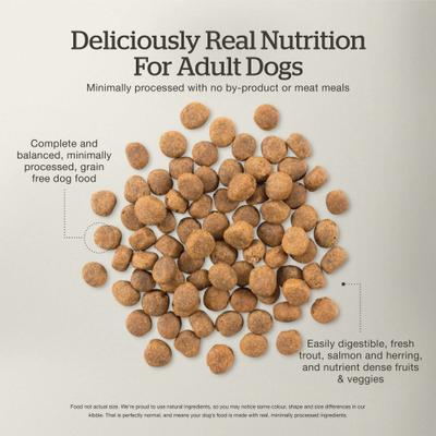 Show full view: Now Fresh Grain-Free Adult Fish Recipe Dry Dog Food, 22-lb bag slide 6 of 11
