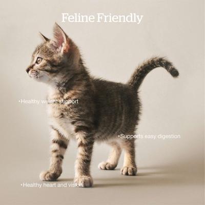 Show full view: Now Fresh Grain-Free Adult Formula Dry Cat Food, 16-lb bag slide 5 of 11