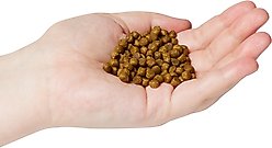 Now Fresh Grain-Free Adult Formula Dry Cat Food, 3-lb bag slide 2 of 9
