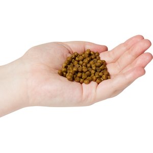 Now Fresh Grain-Free Adult Formula Dry Cat Food, 3-lb bag