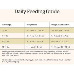 Now Fresh Grain-Free Adult Formula Dry Cat Food, 3-lb bag