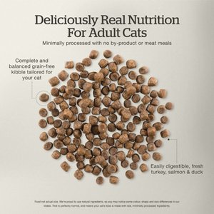 Now Fresh Grain-Free Adult Formula Dry Cat Food, 3-lb bag