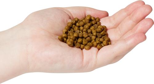 Show full view: Now Fresh Grain-Free Adult Formula Dry Cat Food, 8-lb bag slide 4 of 10