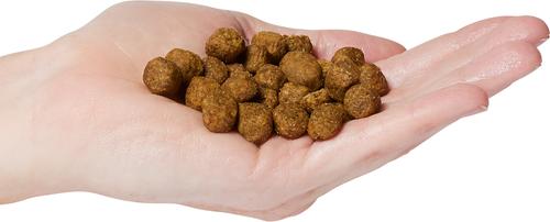 Show full view: Now Fresh Grain-Free Adult Red Meat Recipe Dry Dog Food, 3.5-lb bag slide 4 of 11