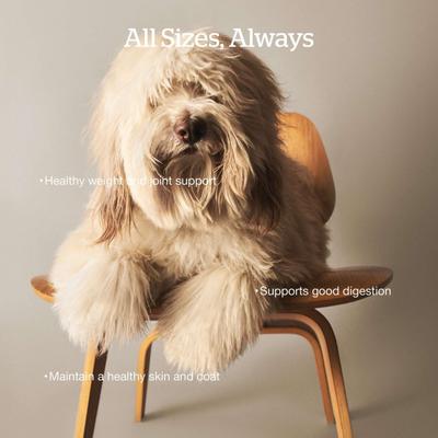 Show full view: Now Fresh Grain-Free Adult Red Meat Recipe Dry Dog Food, 3.5-lb bag slide 5 of 11