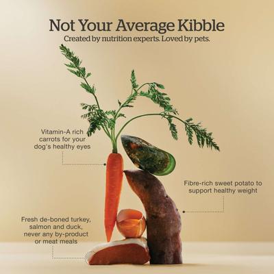 Show full view: Now Fresh Grain-Free Adult Red Meat Recipe Dry Dog Food, 3.5-lb bag slide 6 of 11