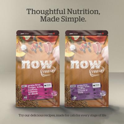 Show full view: Now Fresh Grain-Free Kitten Formula Dry Cat Food, 3-lb bag slide 7 of 11