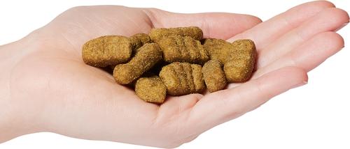 Show full view: Now Fresh Grain-Free Large Breed Adult Recipe Dry Dog Food, 12-lb bag slide 4 of 11