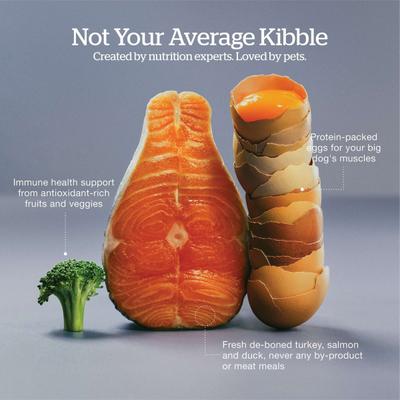 Show full view: Now Fresh Grain-Free Large Breed Adult Recipe Dry Dog Food, 12-lb bag slide 6 of 11