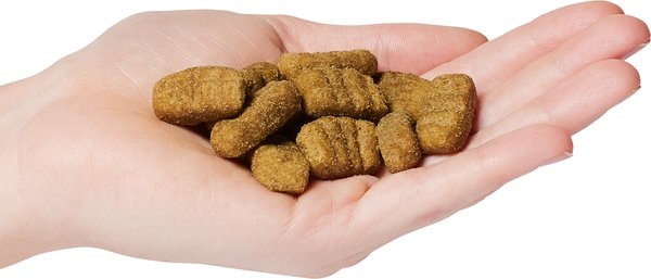 Show full view: Now Fresh Grain-Free Large Breed Adult Recipe Dry Dog Food, 25-lb bag slide 4 of 11