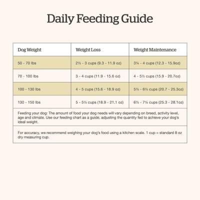 Show full view: Now Fresh Grain-Free Large Breed Adult Recipe Dry Dog Food, 25-lb bag slide 9 of 11
