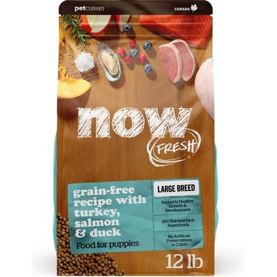 Now Fresh Now Fresh Grain-Free Large Breed Puppy Recipe Dry Dog Food, 12-lb bag