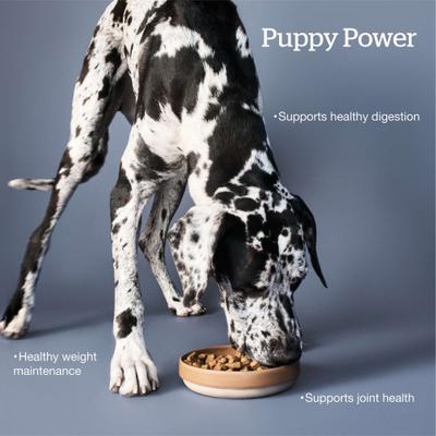 Show full view: Now Fresh Grain-Free Large Breed Puppy Recipe Dry Dog Food, 25-lb bag slide 4 of 11