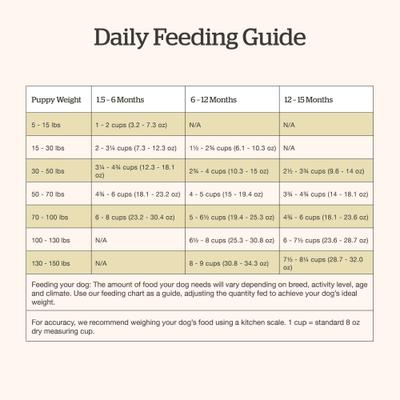 Show full view: Now Fresh Grain-Free Large Breed Puppy Recipe Dry Dog Food, 25-lb bag slide 9 of 11