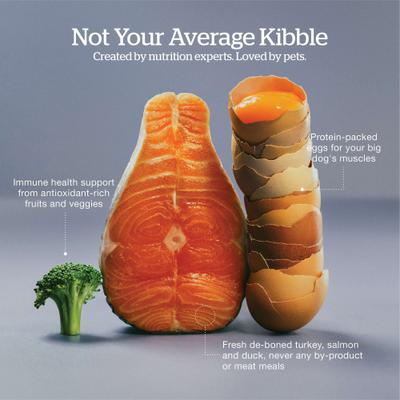 Show full view: Now Fresh Grain-Free Large Breed Senior Recipe Dry Dog Food, 25-lb bag slide 5 of 11