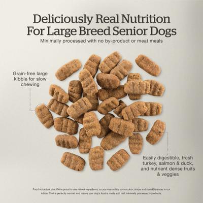 Show full view: Now Fresh Grain-Free Large Breed Senior Recipe Dry Dog Food, 25-lb bag slide 6 of 11