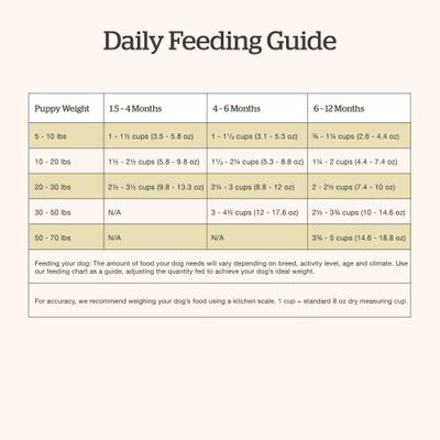 Show full view: Now Fresh Grain-Free Puppy Recipe Dry Dog Food, 22-lb bag slide 8 of 10