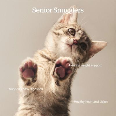 Show full view: Now Fresh Grain-Free Senior Dry Cat Food, 16-lb bag slide 4 of 11