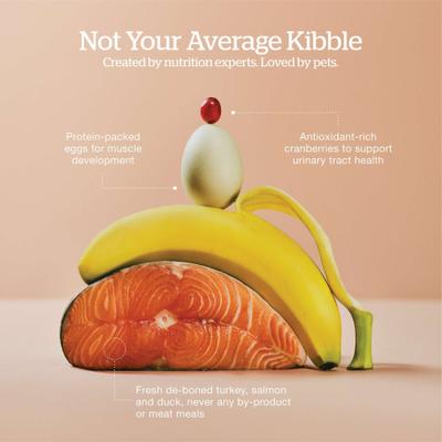 Show full view: Now Fresh Grain-Free Senior Dry Cat Food, 16-lb bag slide 5 of 11