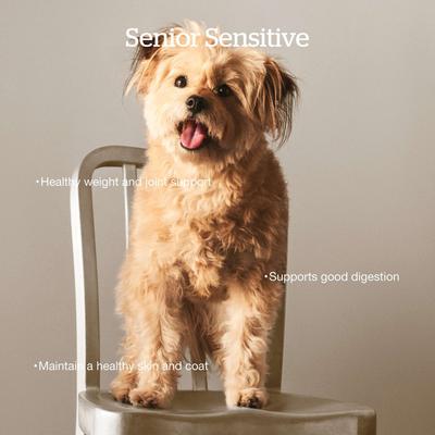 Show full view: Now Fresh Grain-Free Senior Formula Dry Dog Food, 22-lb bag slide 4 of 11