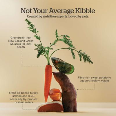 Show full view: Now Fresh Grain-Free Senior Formula Dry Dog Food, 22-lb bag slide 5 of 11