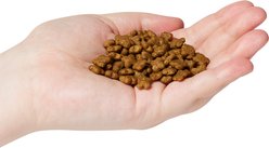 Now Fresh Grain-Free Small Breed Adult Recipe Dry Dog Food, 12-lb bag slide 2 of 8