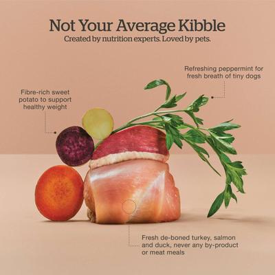 Show full view: Now Fresh Grain-Free Small Breed Adult Recipe Dry Dog Food, 22-lb bag slide 6 of 11