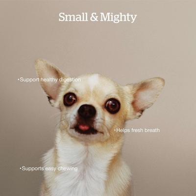 Show full view: Now Fresh Grain-Free Small Breed Adult Recipe Dry Dog Food, 22-lb bag slide 5 of 11