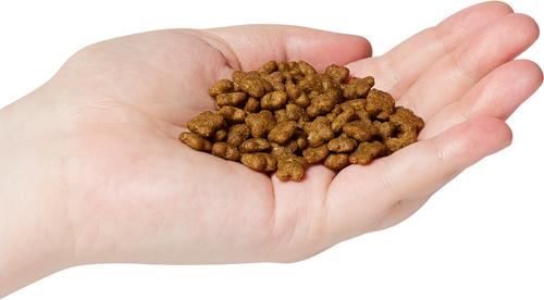 Show full view: Now Fresh Grain-Free Small Breed Adult Recipe Dry Dog Food, 3.5-lb bag slide 4 of 11