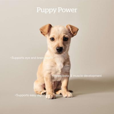 Show full view: Now Fresh Grain-Free Small Breed Puppy Recipe Dry Dog Food, 3.5-lb bag slide 5 of 11