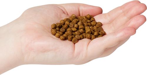 Show full view: Now Fresh Grain-Free Small Breed Puppy Recipe Dry Dog Food, 3.5-lb bag slide 4 of 11