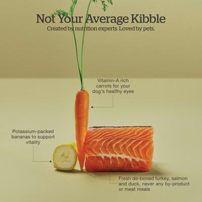 Show full view: Now Fresh Grain-Free Small Breed Puppy Recipe Dry Dog Food, 3.5-lb bag slide 6 of 11