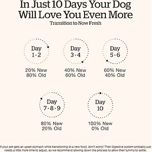 Now Fresh Grain-Free Small Breed Senior Recipe Dry Dog Food, 12-lb bag