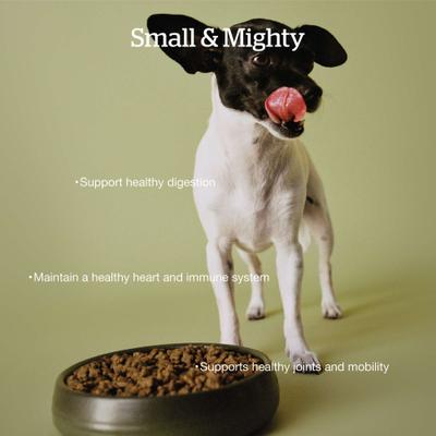 Show full view: Now Fresh Grain-Free Small Breed Senior Recipe Dry Dog Food, 6-lb bag slide 4 of 11