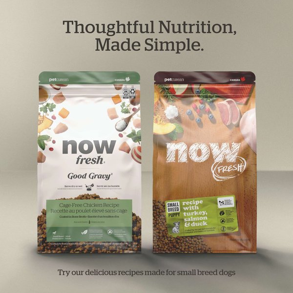 Now Fresh Grain-Free Small Breed Senior Recipe Dry Dog Food