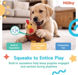 Nuby Chicken Interactive Crinkle Stuffing Fetch & Play Squeaky Plush Dog Toy, 2 count slide 2 of 6
