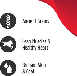 Nulo Ancient Grain Savory Stew Puppy & Adult Chicken & Salmon Wet Dog Food, 6-oz can, 8 count slide 2 of 6