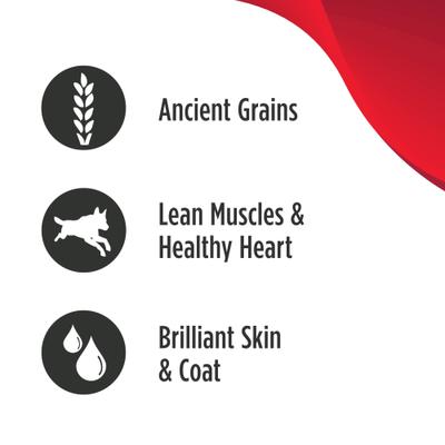 Show full view: Nulo Ancient Grain Savory Stew Puppy & Adult Chicken & Salmon Wet Dog Food, 6-oz can, 8 count slide 4 of 9