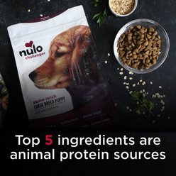 Nulo Challenger Alpine Ranch Beef, Lamb & Pork Large Breed Puppy Dry Dog Food, 24-lb bag slide 2 of 9