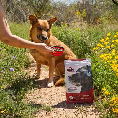 Show full view: Nulo Challenger Puppy & Adult Alpine Ranch Beef, Lamb & Pork Dry Dog Food, 11-lb bag slide 9 of 12