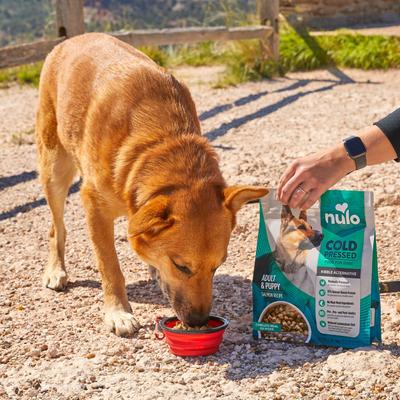 Show full view: Nulo Cold Pressed Puppy & Adult Grain-Free Salmon Recipe Dry Dog Food, 2.2-lb bag slide 9 of 12