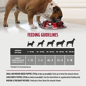 Nulo Freestyle Beef Recipe with Apples Grain-Free Freeze-Dried Raw Dog Food, 18-oz bag