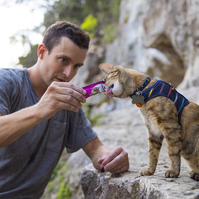 Show full view: Nulo Freestyle Perfect Purees Variety Pack Grain-Free Lickable Cat Treats, 0.5-oz tube, 40 count slide 9 of 11