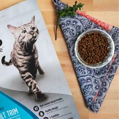 Show full view: Nulo FreeStyle Salmon & Lentils Recipe with l-Carnitine & Probiotics High Protein & Grain-Free Adult Trim Dry Cat Food, 14-lb bag slide 4 of 13