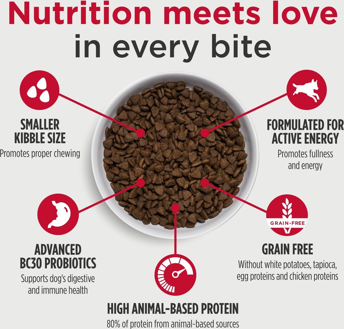 Authority Skin, Coat & Digestive Health Fish & Potato Formula Small Breed Grain-Free Adult Dry Dog Food