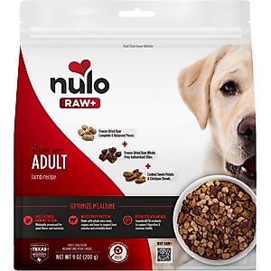 Nulo Raw+ Lamb Adult Freeze-Dried Dog Food, 9-oz bag