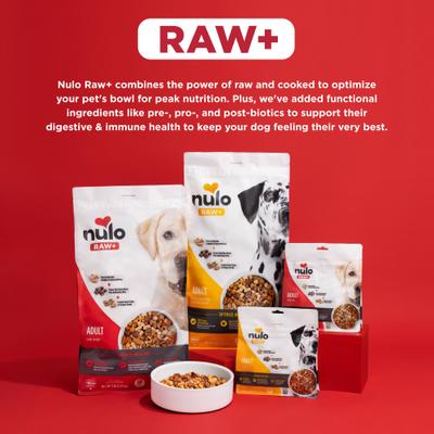 Show full view: Nulo Raw+ Lamb Adult Freeze-Dried Dog Food, 9-oz bag slide 9 of 11